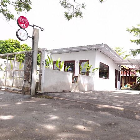 Mayeka Transit Hostel Bandara Internasional Lombok Praya Luaran gambar