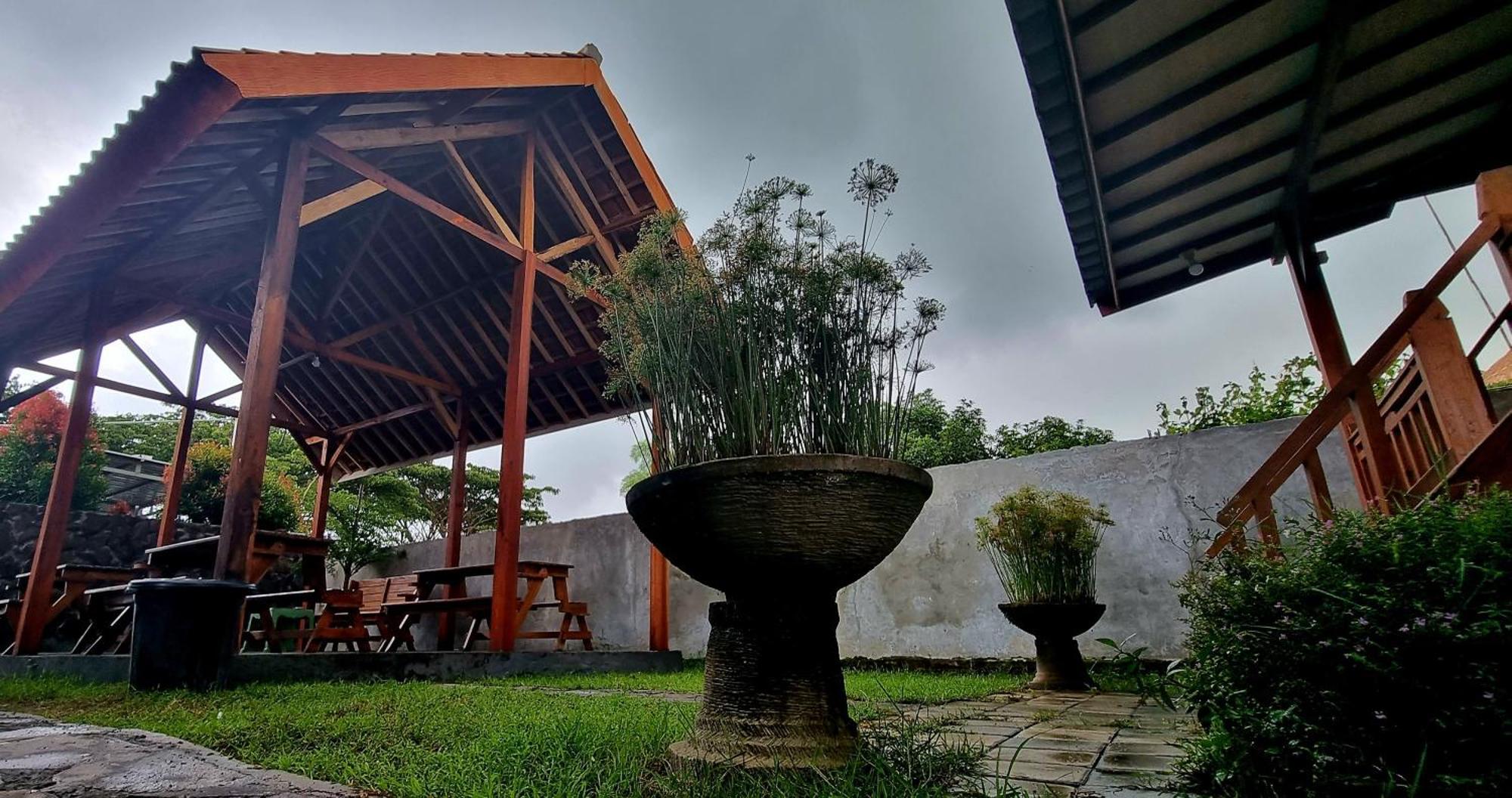 Mayeka Transit Hostel Bandara Internasional Lombok Praya Luaran gambar